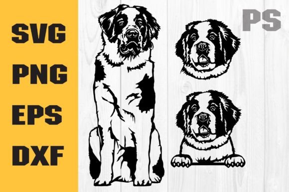 Saint Bernard Dog SVG: A Design Review for Embroidery