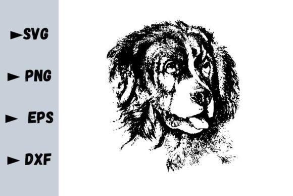 Saint Bernard Dog SVG Files: A Designer’s Honest Take